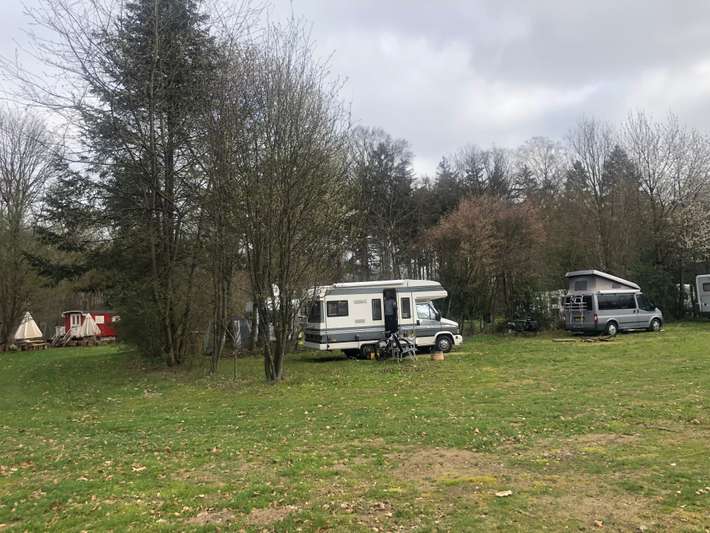 Natuurcamping De Dassenboom