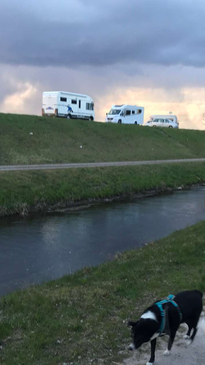 Parking direkt am Rhein