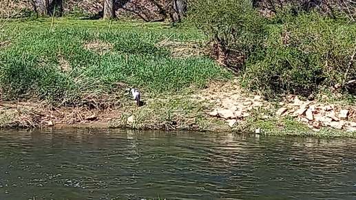 Added a photo to a location