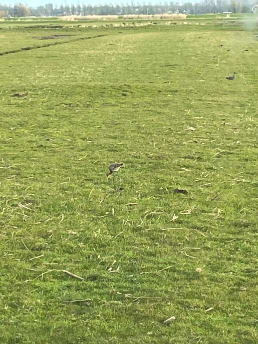 Een foto toegevoegd aan een locatie