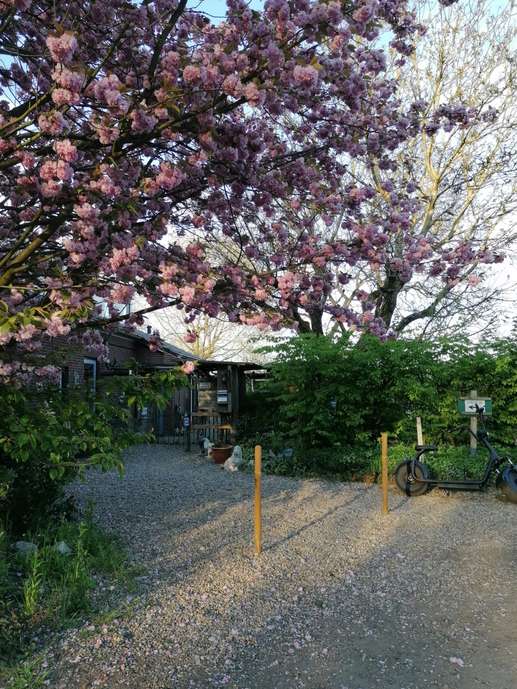 Added a photo to a location