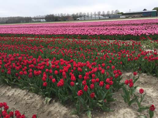 Een foto toegevoegd aan een locatie