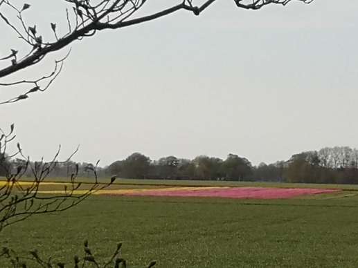Added a photo to a location