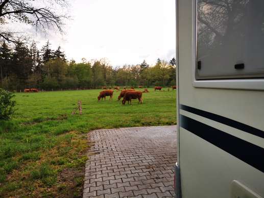 Een foto toegevoegd aan een locatie