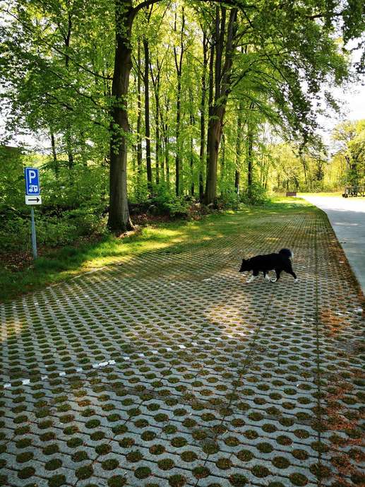 Een foto toegevoegd aan een locatie