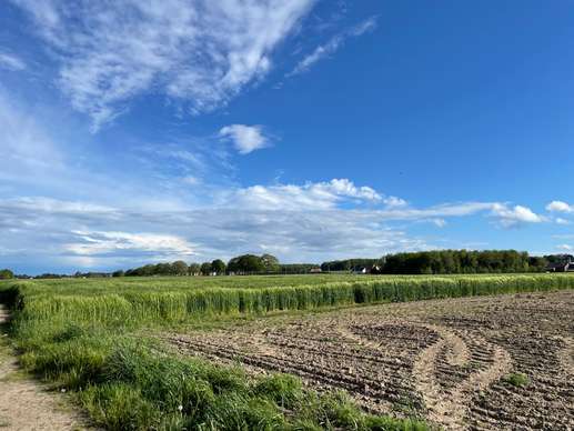Added a photo to a location