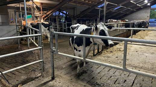 Een foto toegevoegd aan een locatie