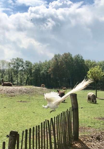 Einem Ort wurde ein Foto hinzugefügt