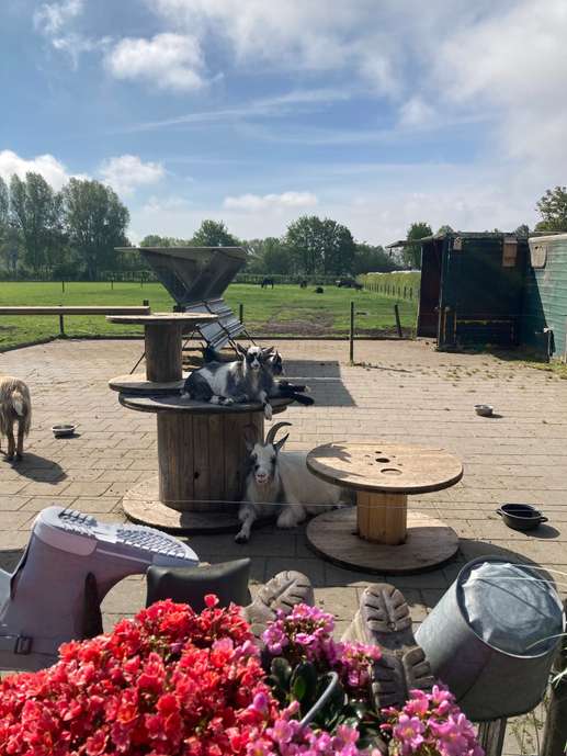 Een foto toegevoegd aan een locatie