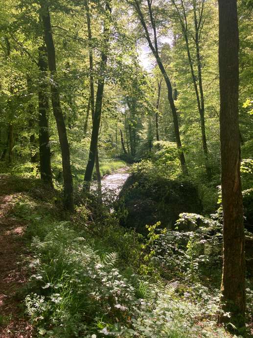 Een foto toegevoegd aan een locatie