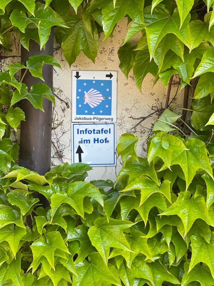 Stellplatz Gundheimerhof 