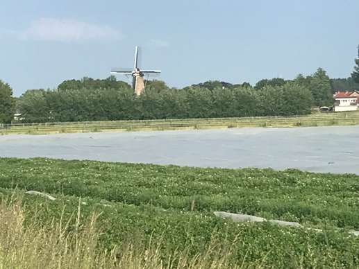 Een foto toegevoegd aan een locatie