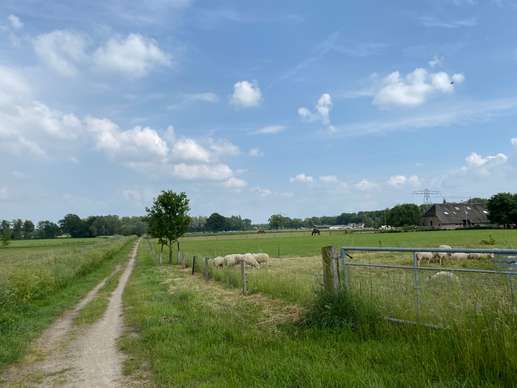 Een foto toegevoegd aan een locatie