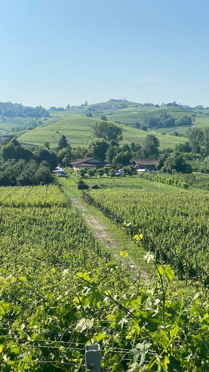 Agricamping Casciana Ballarin