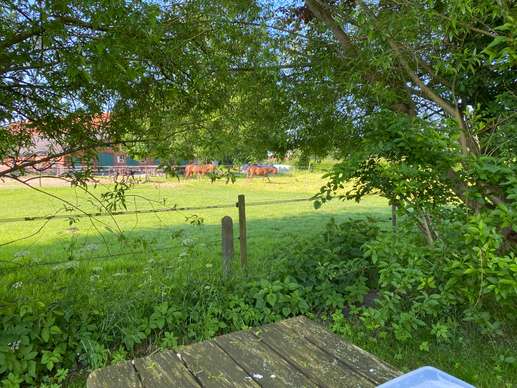 Added a photo to a location