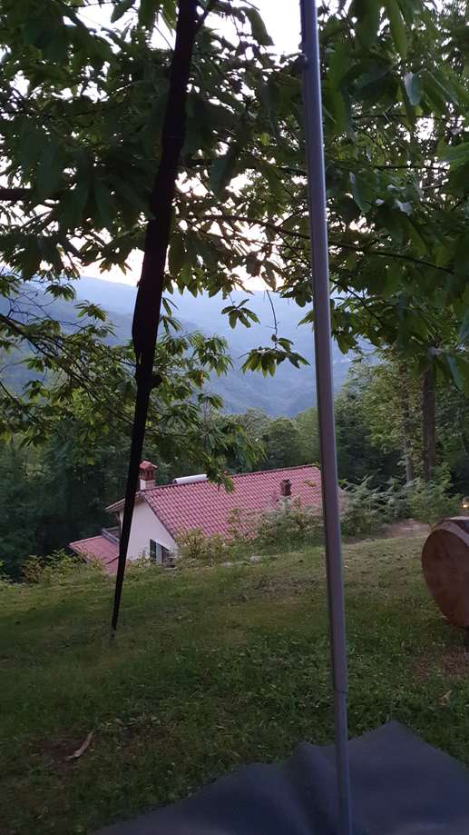 Added a photo to a location
