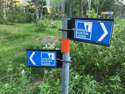 Added a photo to a location