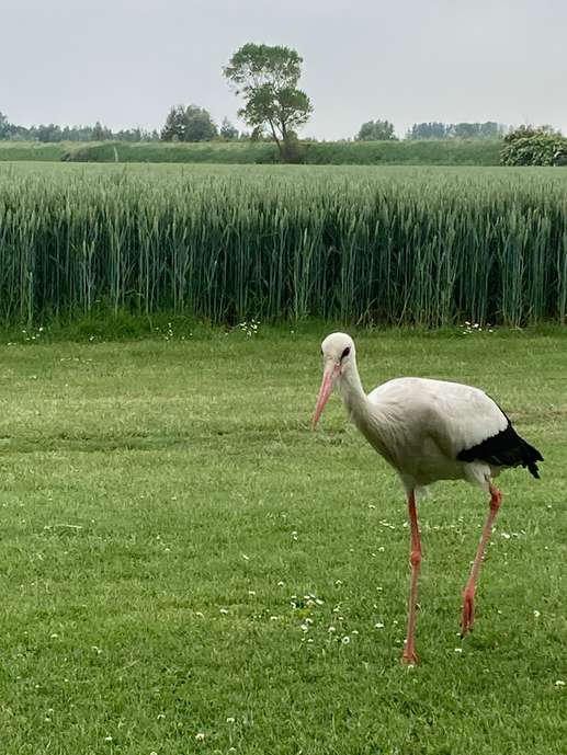 Einem Ort wurde ein Foto hinzugefügt