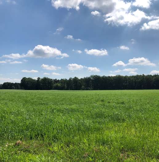 Een foto toegevoegd aan een locatie