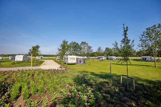 Camping Hygge