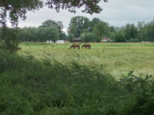 Een foto toegevoegd aan een locatie