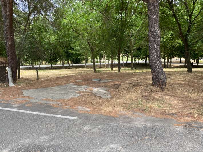 Area Comunale