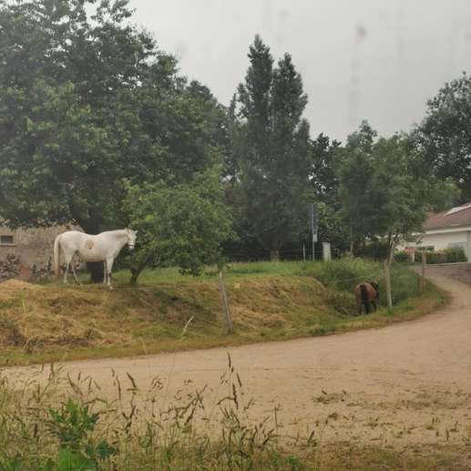 Einem Ort wurde ein Foto hinzugefügt
