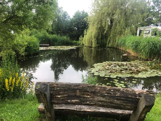 Added a photo to a location
