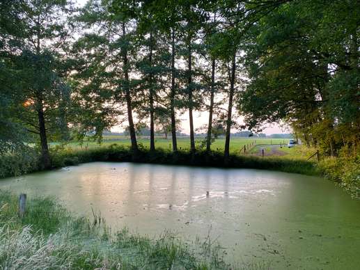 Added a photo to a location