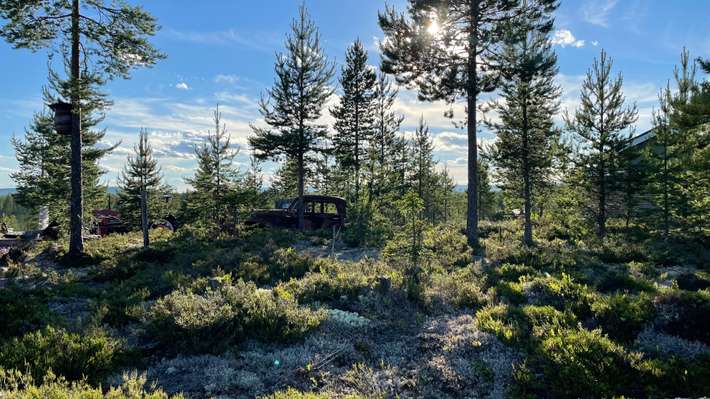 OFFROADCAMP® Dalarna | Adventure Camping & Cabins 