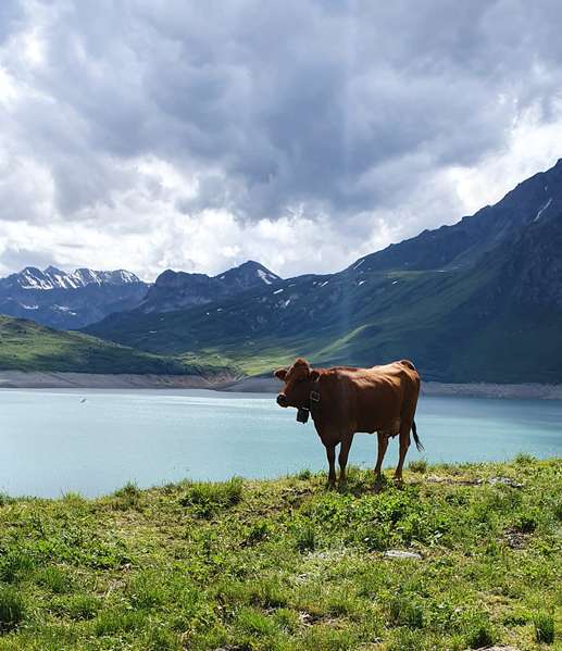 Einem Ort wurde ein Foto hinzugefügt