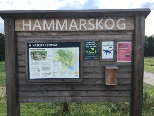 Een foto toegevoegd aan een locatie