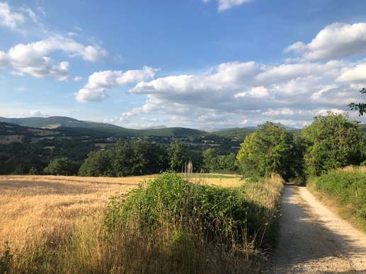 Een foto toegevoegd aan een locatie