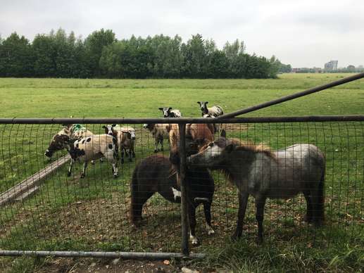 Een foto toegevoegd aan een locatie