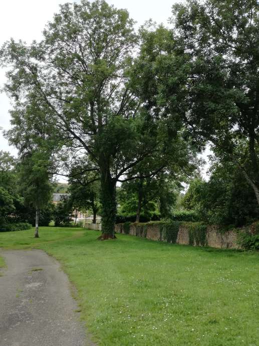 Aggiunta una foto a una posizione