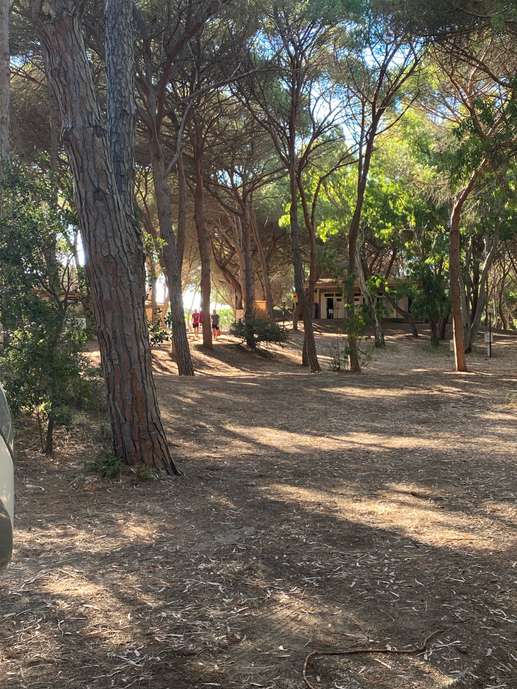 Aggiunta una foto a una posizione