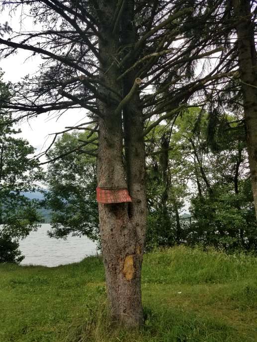Aggiunta una foto a una posizione