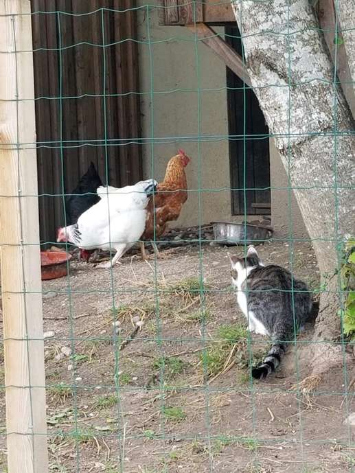 Aggiunta una foto a una posizione
