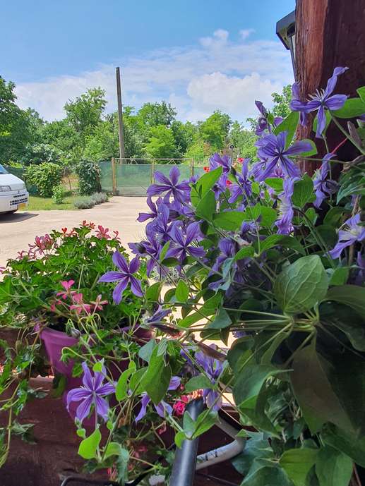 Added a photo to a location