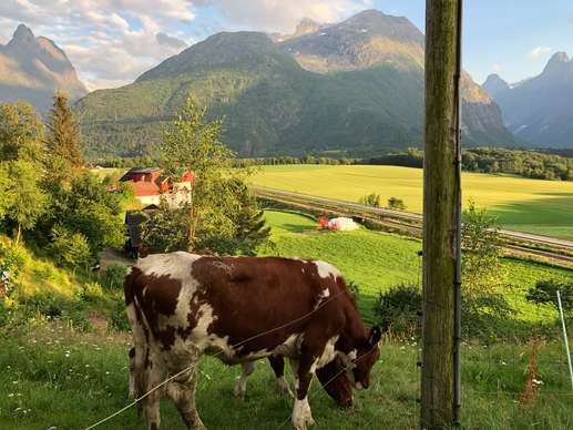 Einem Ort wurde ein Foto hinzugefügt