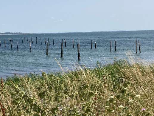 Added a photo to a location