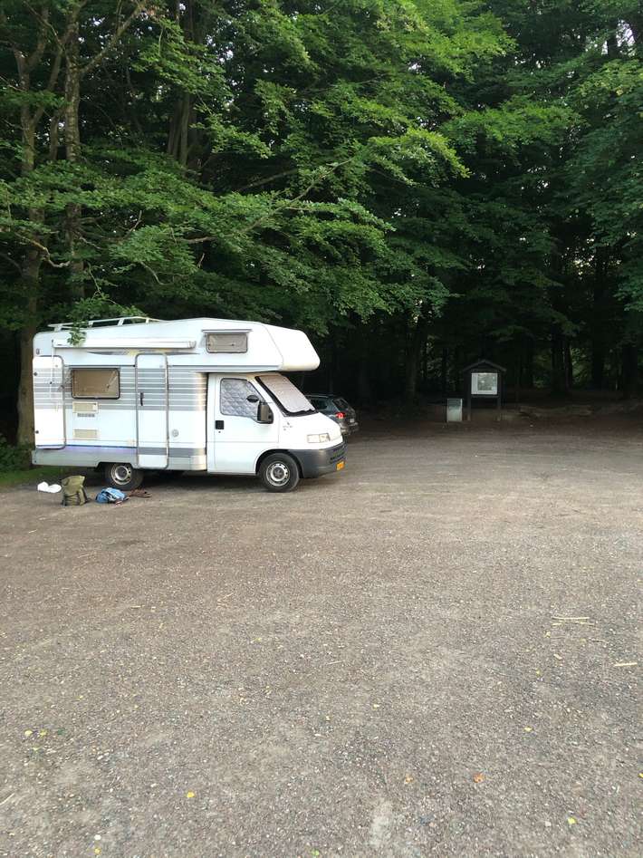 Bokskogen