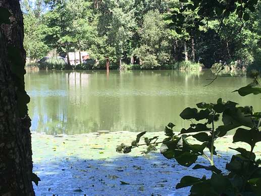 Added a photo to a location