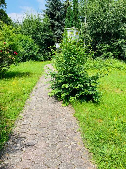 Een foto toegevoegd aan een locatie