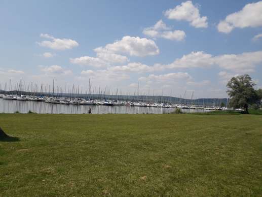 Added a photo to a location