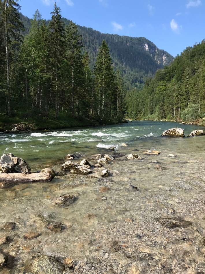 Camping Nachbagauer
