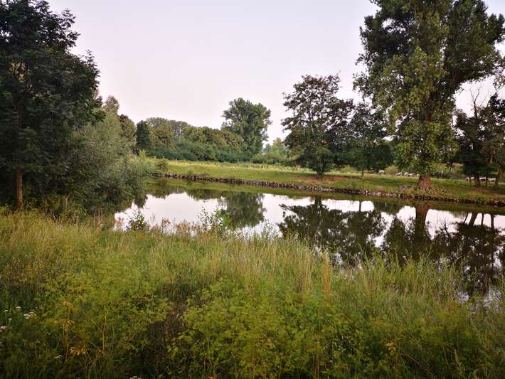 Festplatz Gries