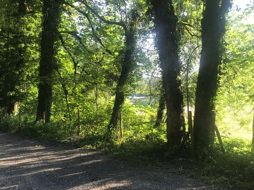 Added a photo to a location