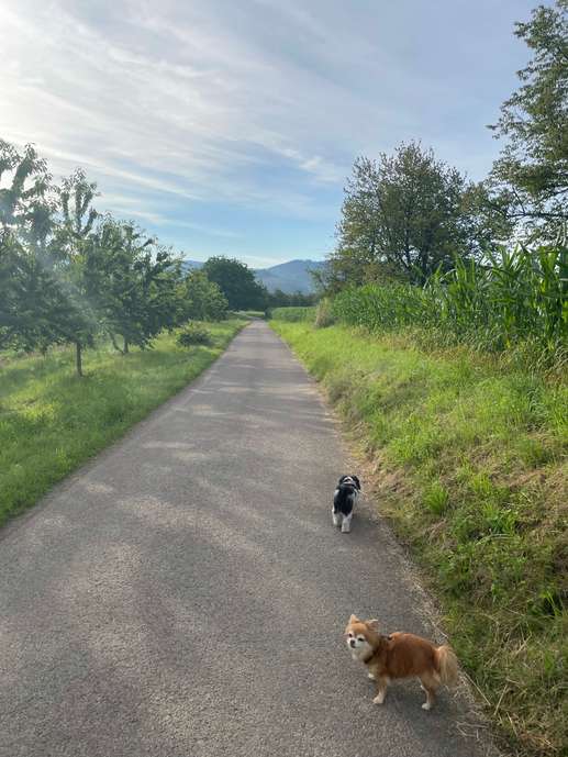 Aggiunta una foto a una posizione