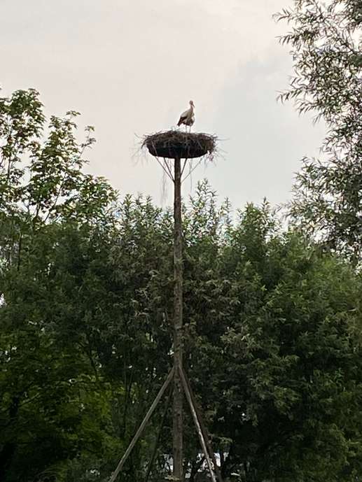 Aggiunta una foto a una posizione